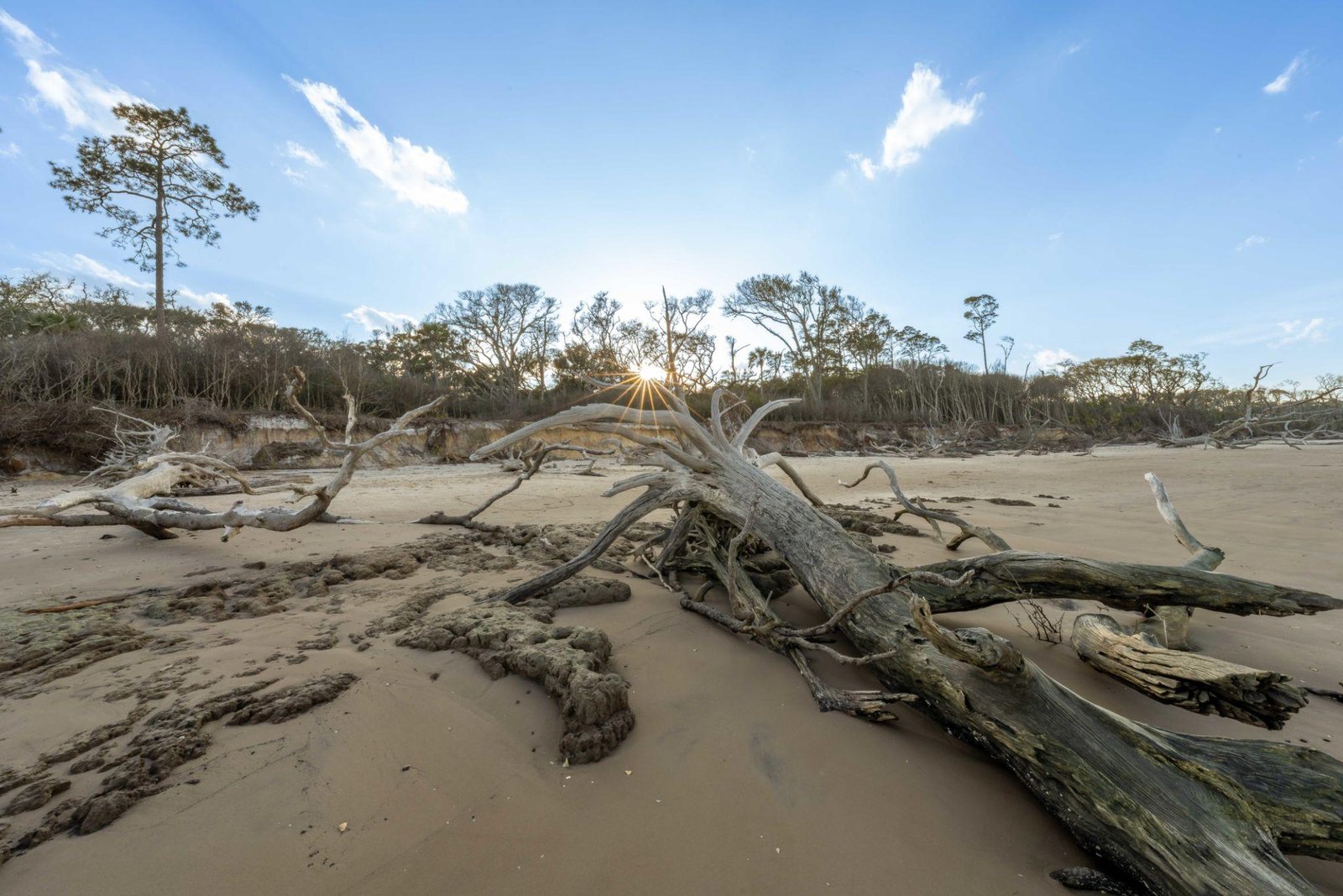 Boneyard Beach